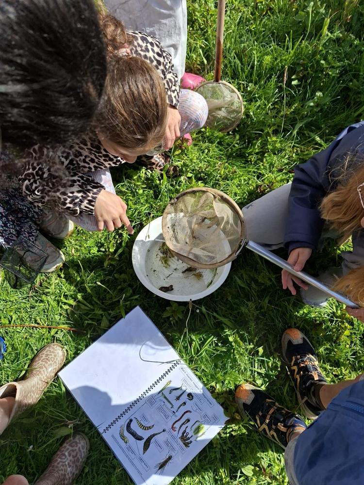 Kinderen bekijken in het gras wat ze in hun netje hebben gevangen